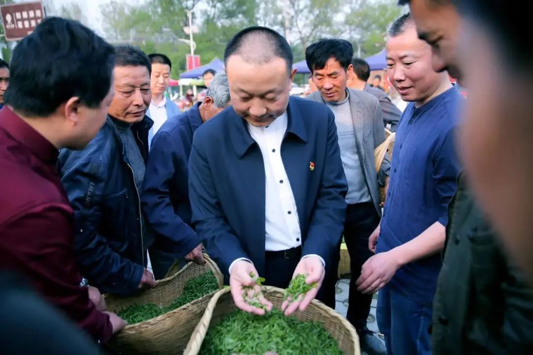 “中国传统制茶技艺及其相关习俗”申遗成功信阳毛尖茶作为重要组成部分参与申报