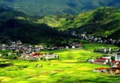乡村旅游不能丢掉“乡土味”