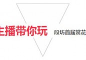 【眼疾手快】赏“梦中挑花源”，做“铁杆粉丝”