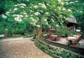 “桐花祭”：休闲农业的巅峰之作!