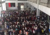 千朵牡丹齐齐绽放，节后又逢客流高峰！