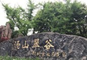【广角聚焦】美丽乡村的典型样本