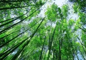 你爱我吗？爱我就要大声说出来！