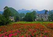 【前沿视角】国内乡村旅游的7大成功模式