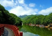 5A嵩县旅游推介会走进平顶山，洛阳白云山独领风骚