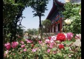 花香树影间的游憩新天地——内乡县旅游服务中心