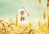 芒种时节，去哪里收获一个清凉的夏日？