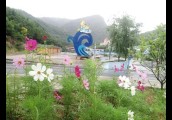内乡生态旅游通道鲜花盛开迎宾朋