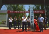 厉害了，洛阳首个电影主题公园在孟津银滩揭牌！