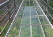 【旅游人生·】>>齐文瑞与尧山花海扶贫基地