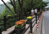 云台山：步移景换 景区处处展新颜