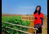【旅游人生】中国最大农业体验项目打造者