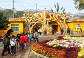 漯河市旅游局宣传促销成绩显著