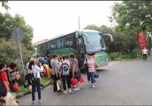 【广角聚焦】“拼团游”背后的监管盲区