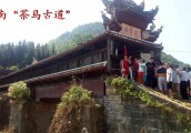 穿越千年而来的生命之饮“金花黑茶” 它究竟好在哪？世界瞩目!