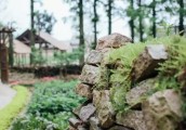 【广角聚焦】年接待量超800万人，农庄是怎么做到的？