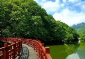 【广角聚焦】“零门票”         做大的“旅游蛋糕”该怎么分？