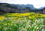 【广角聚焦】全域旅游时代，乡村旅游如何个性化发展