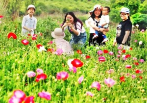 【前沿视角】“乡村旅游”应让村民“唱主角”
