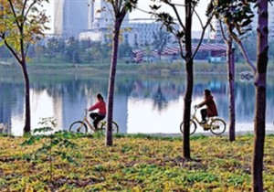 >>郑州龙子湖秋色正浓 美景吸引诸多市民和游人观光游览