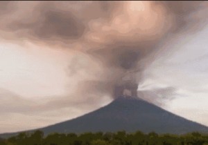 【广角聚焦】不顾“提醒”去巴厘岛    可能导致极高风险