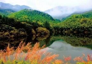 【封面】河南唯一！商城县荣膺“中国最具吸引力旅游小城”
