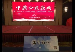 张弓•梦基金：绽放中原公益盛典 让每个梦想都开花