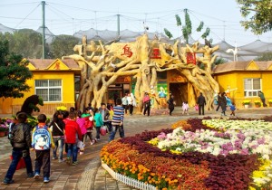 漯河市舞阳县文化广电旅游局认真贯彻落实县委十三届七次全会暨经...