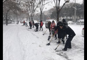 漯河市旅游局积极开展扫雪清障工作
