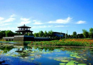 【封面】我国将建中原等6个国家级森林城市群