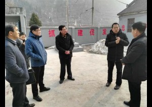 新乡外事侨务旅游局副调研员冀国强一行调研卫辉市乡村旅游扶贫工作