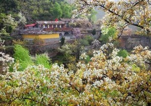 ​【幸福女神节，畅游大峡谷】3月8日-11日来太行大峡谷的女神们免门票啦！