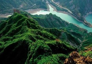 >> 【封面】“以绿荫城”   河南省未来十年“无山不绿”