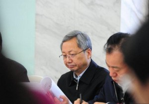 【广角聚焦】全国人大代表尚朝阳：推进大别山“国家公园”生态保护建设