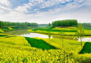 漯河市人大调研沙河国家湿地公园