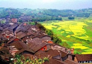 【广角聚焦】激活文化   打造有乡愁的新乡村