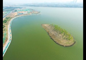 【广角聚焦】郑州老八景之一！八百多亩圃田泽现人间