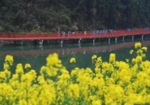 【封面】促进全域旅游发展   民众将享十大“旅游福利”