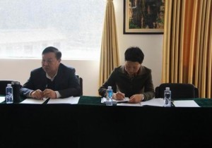 新乡市政府祁文华副市长赴辉县市督导调研旅游工作