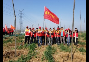 漯河市旅游局组织开展义务植树活动