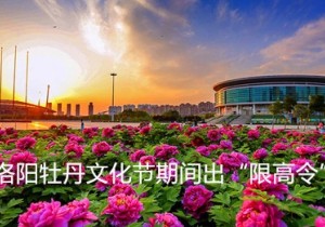 【广角聚焦】洛阳牡丹文化节“限高令” ：门票最高30元、住宿最高1680元