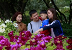 【广角聚焦】2018牡丹文化节  洛阳300万元补贴文化消费