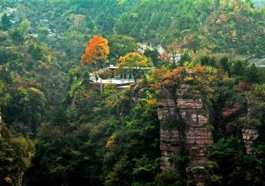 明确告知“八必须”、“九禁止”  新乡市外事侨务旅游局硬腕规范旅行社门市部