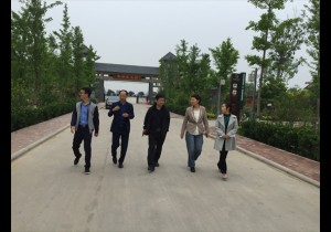 新乡市外事侨务旅游局局长崔红莅临封丘县调研督导旅游扶贫工作