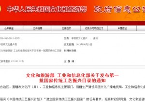 【封面】第一批国家传统工艺振兴目录发布    河南入选16个项目