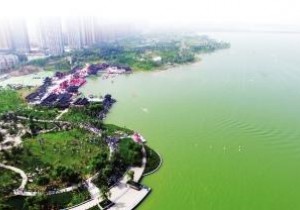 【广角聚焦】八朝古都惊艳巨变！开封何以“华丽转身”？