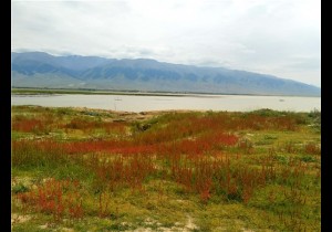 【封面】河南旅游援疆  绘彩哈密“湖光山色”