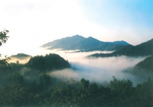 【封面】陈润儿调研伏牛山区 让美丽贫困山区变成美丽富饶山区