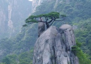 【广角聚焦】关注暑期旅游（二）：防意外  景区拧紧安全阀