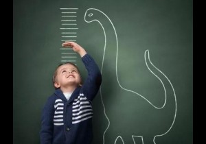【广角聚焦】景区儿童票标准乱？专家建议：年龄标准和身高标准并行